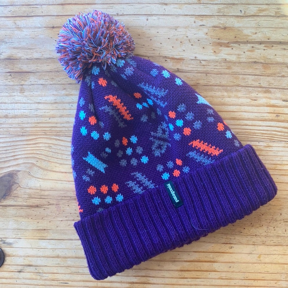 Patagonia Winter Hat